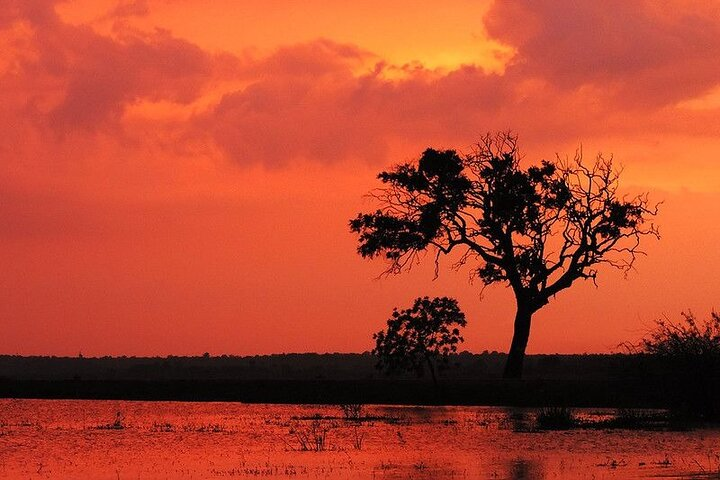 YALA National Park Safari with Transfer Hikkaduwa to Arugam Bay - Photo 1 of 25